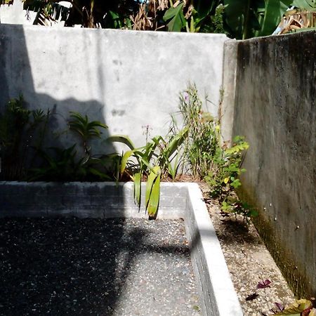 Radiya Guesthouse Sembalunlawang Room photo