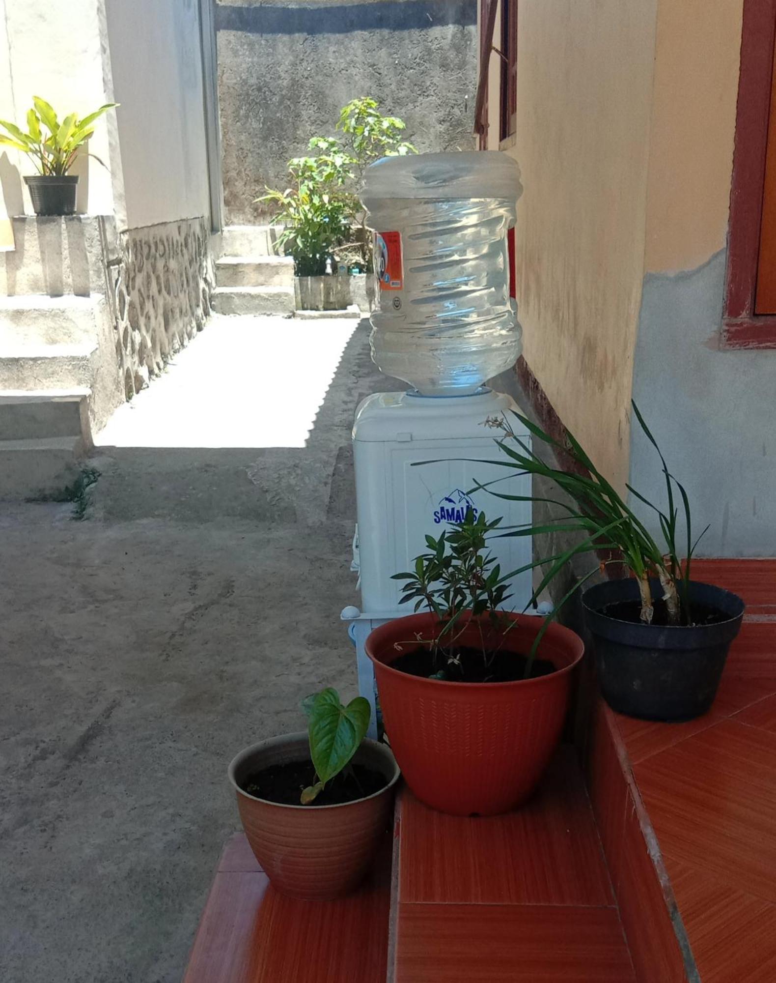 Radiya Guesthouse Sembalunlawang Exterior photo